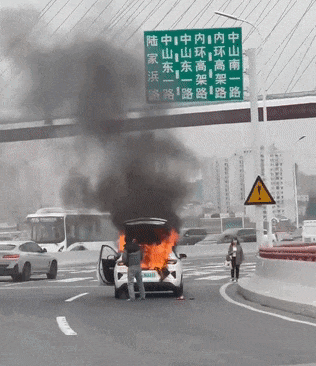 上海一新能源车起火 现场浓烟滚滚 车型品牌遭曝光